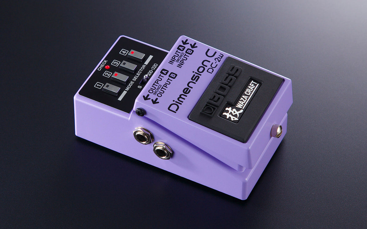 BOSS DC-2W Dimension C Best Guitar Effects Pedal with SDD-320 Dimension D Studio Rack Effect